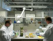 GlasfaserverstÃ¤rkter Beton â€“ ein innovativer Werkstoff!